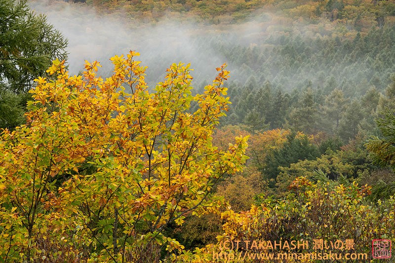 ../Images/7R251019 (236).jpg